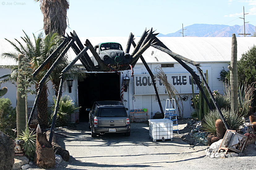 [bizarre_vwspider1.jpg]