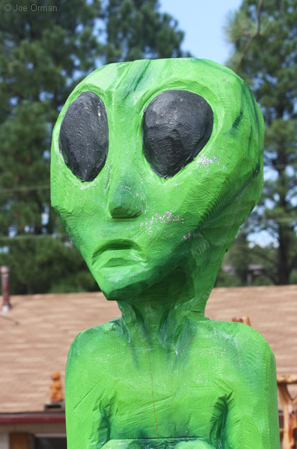 [bizarre_wildwoods2.jpg]