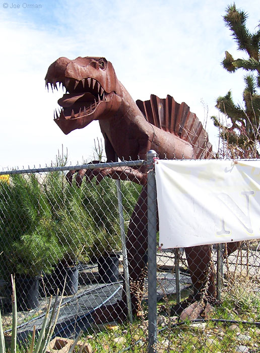 [bizarre_yuccavalleydinosaurs2.jpg]