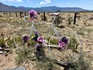 bizarre_ghostbikeiPhone15_IMG_14680_s.jpg