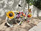 bizarre_ghostbikeiPhone15_IMG_14775_s.jpg
