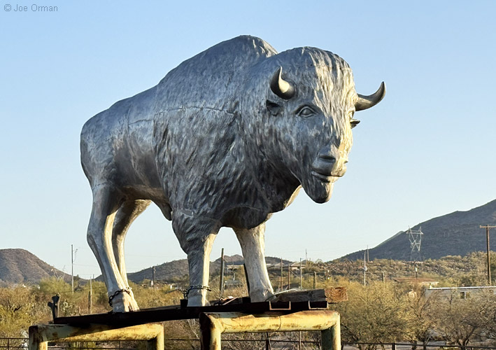 [iPhone15_IMG_10210.jpg]