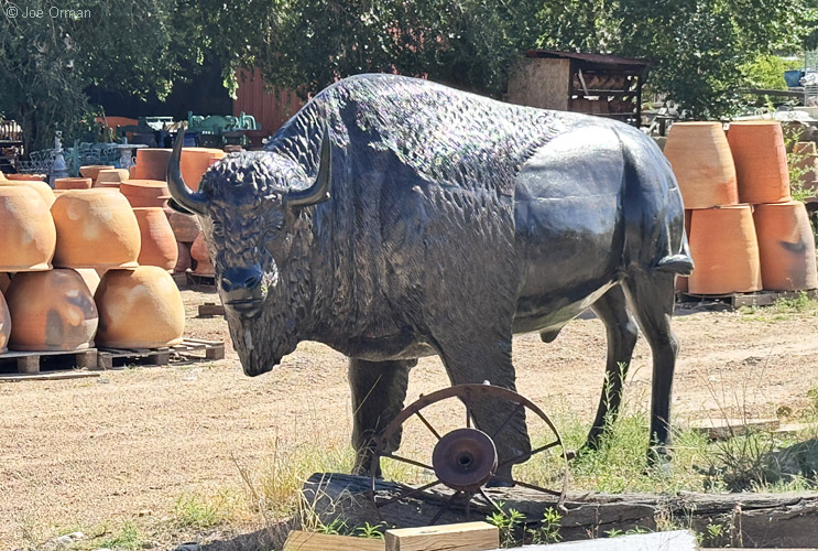 [iPhone15_IMG_14963.jpg]