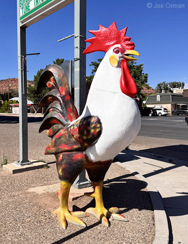 [bizarre_chickensiPhone15_IMG_21464.jpg]