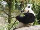 zoo_02_s.jpg