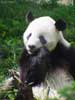 zoo_03_s.jpg