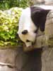 zoo_04_s.jpg