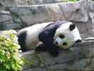 zoo_05_s.jpg