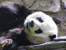 zoo_06_s.jpg