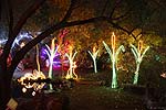 zoolights_2295_s.jpg