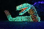 zoolights_2310_s.jpg