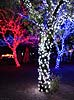 zoolights_2325_s.jpg
