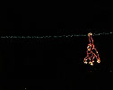 zoolights_2329_s.jpg