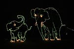 zoolights_2336_s.jpg
