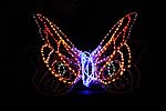 zoolights_2343_s.jpg