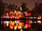 zoolights_2346_s.jpg