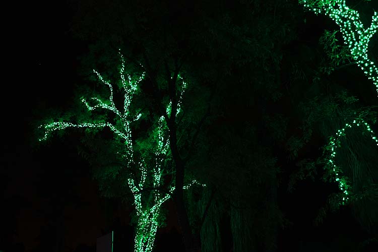 [zoolights_2357.jpg]