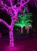zoolights_2362_s.jpg
