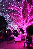 zoolights_2365_s.jpg