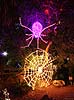 zoolights_2367_s.jpg