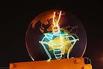 zoolights_2376_s.jpg