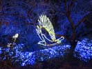 zoolights_SX50_IMG_3157_s.jpg