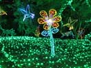 zoolights_SX50_IMG_3173_s.jpg