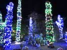 zoolights_SX50_IMG_3180_s.jpg