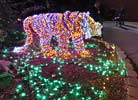 zoolights_SX50_IMG_3181_s.jpg