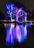 zoolights_SX50_IMG_3187_s.jpg