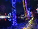 zoolights_SX50_IMG_3195_s.jpg
