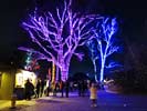 zoolights_SX50_IMG_3205_s.jpg