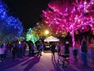zoolights_SX50_IMG_3220_s.jpg