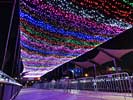 zoolights_SX50_IMG_3246_s.jpg