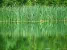 color_070803_2724_s.jpg