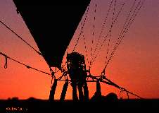 [color_991008_36_s.jpg]