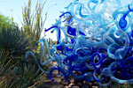 [color_chihuly2_100_8124_s.jpg]