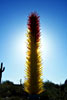 [color_chihuly2_100_8192_s.jpg]