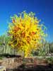 [color_chihuly_1065_s.jpg]