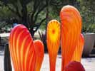 [color_chihuly_1114_s.jpg]