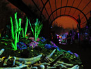 color_electricdesert_IMG_9040_s.jpg
