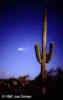 hale-bopp_970323_15_s.jpg