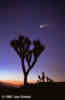 hale-bopp_970404_14a_s.jpg