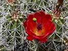 iPhone15_IMG_20470_med_s.jpg