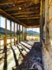 ghosts_96ranch_SX50_IMG_3590_s.jpg