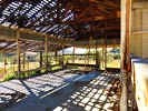 ghosts_96ranch_SX50_IMG_3594_s.jpg