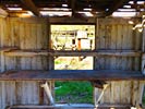 ghosts_96ranch_SX50_IMG_3595_s.jpg