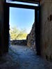 ghosts_96ranch_SX50_IMG_3620_s.jpg