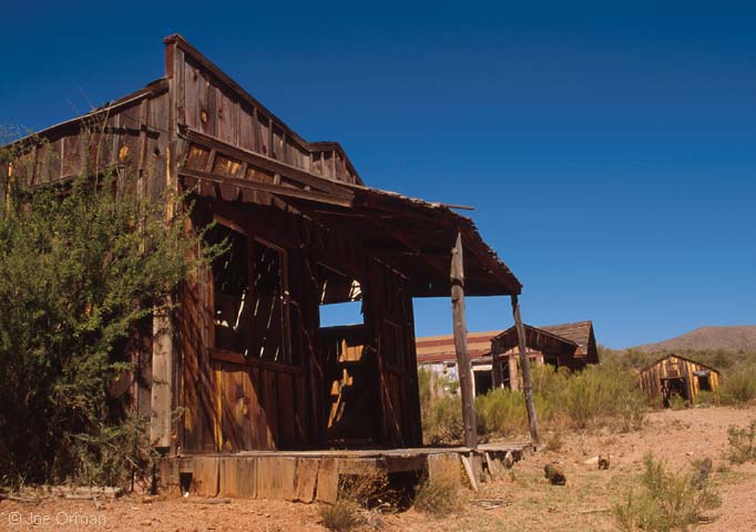 [ghosts_bumblebee1.jpg]