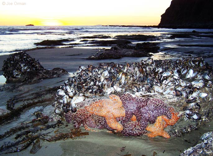 [landscapes_danapoint1.jpg]